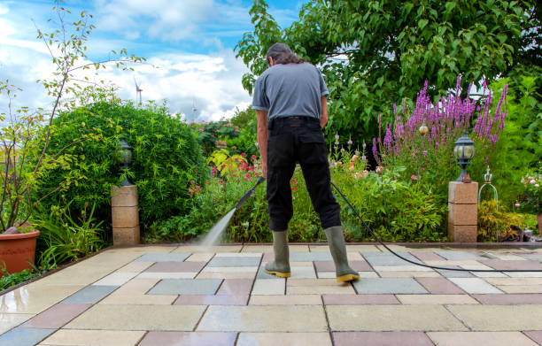 Professional Pressure Washing in Mascotte, FL